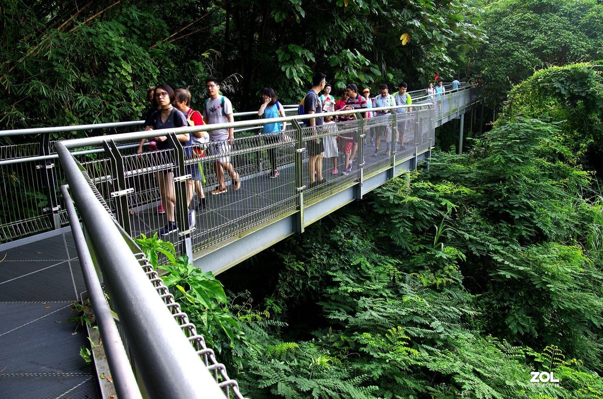 【狮城散记（二十七）】直落布兰雅山麓风光