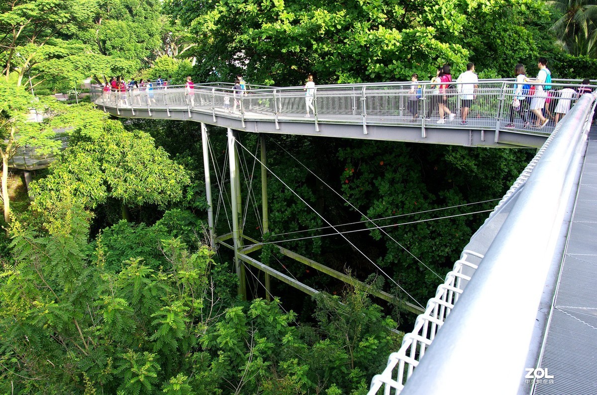 【狮城散记（二十七）】直落布兰雅山麓风光