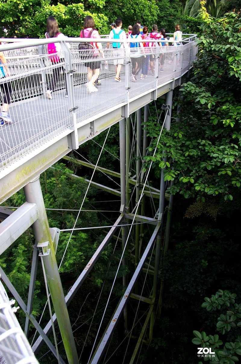 【狮城散记（二十七）】直落布兰雅山麓风光