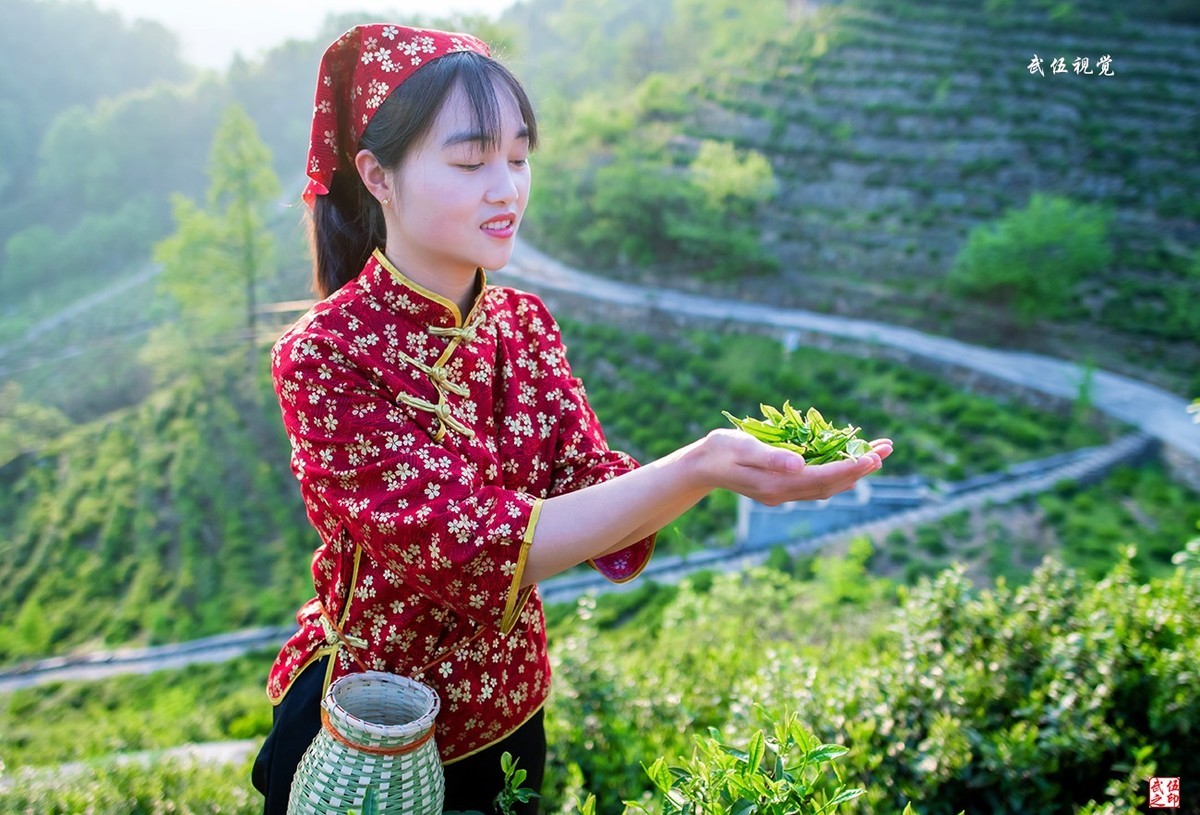 采茶姑娘（1）