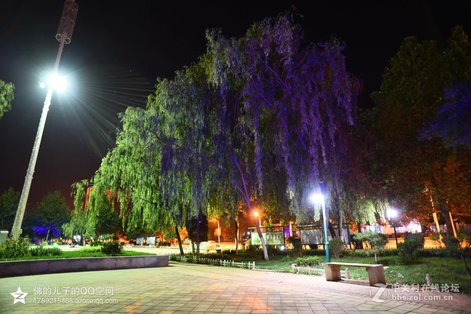 一组公园夜景试镜（尼康20,2.8D定焦镜头）