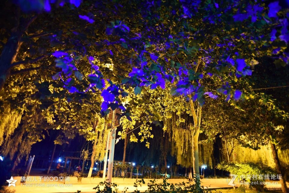 一组公园夜景试镜（尼康20,2.8D定焦镜头）