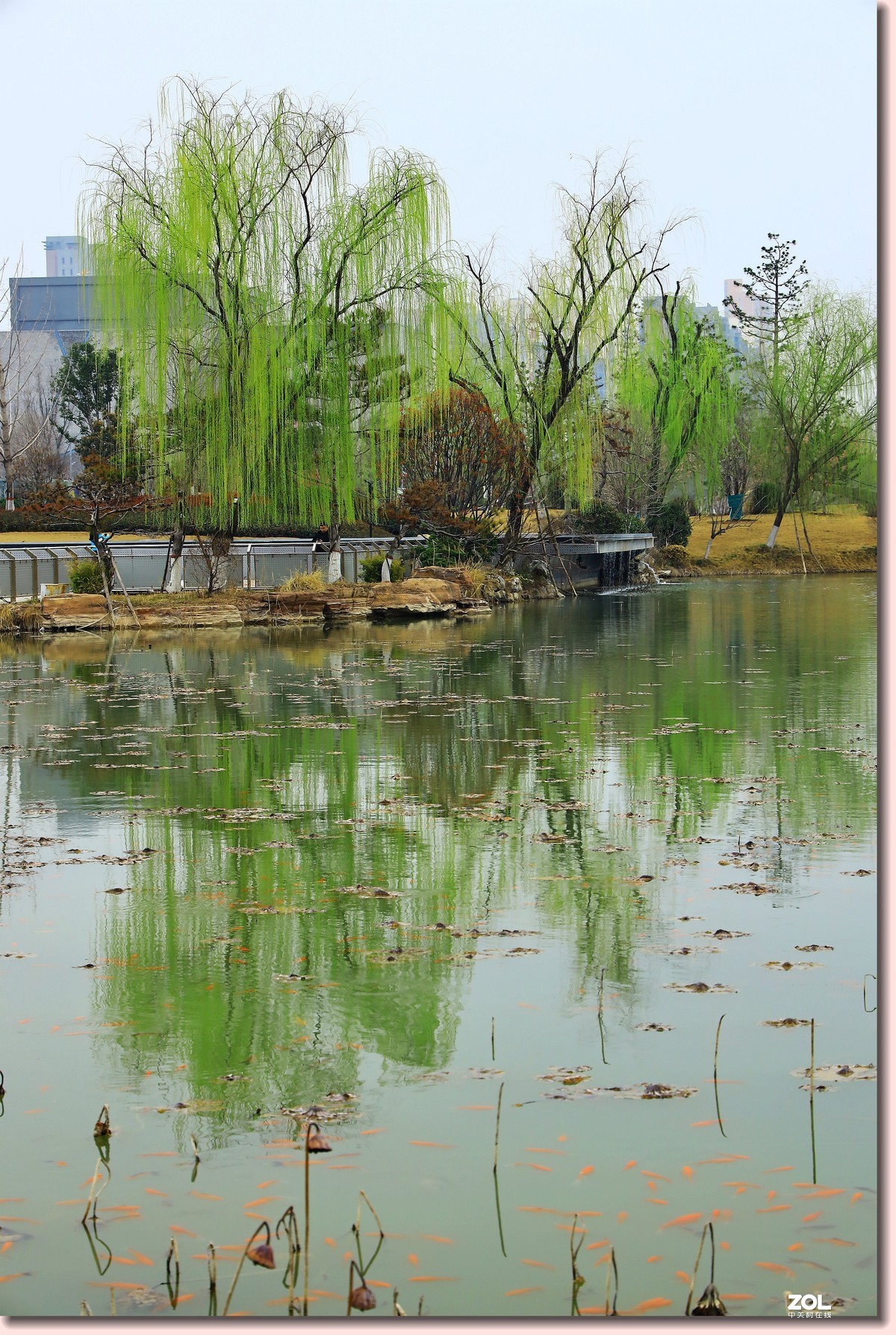 春天来了，续