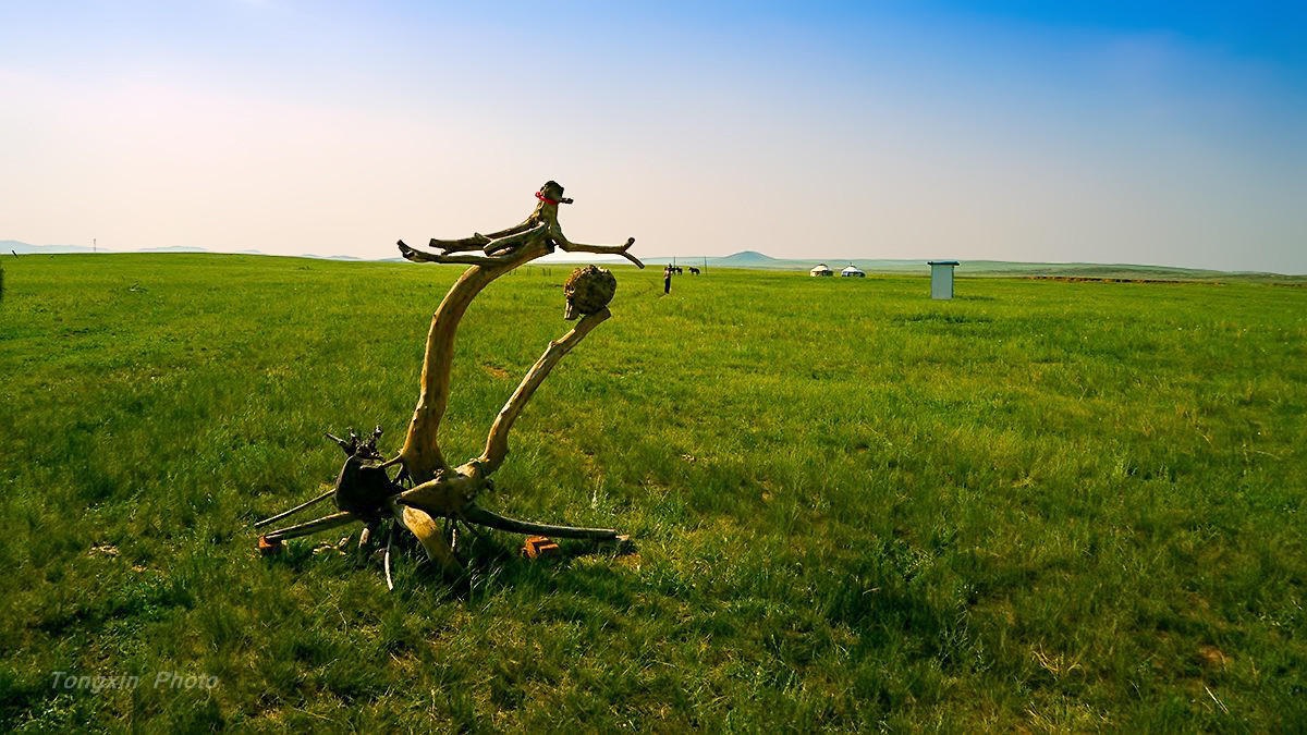 粗旷豪放的大草原感谢贴