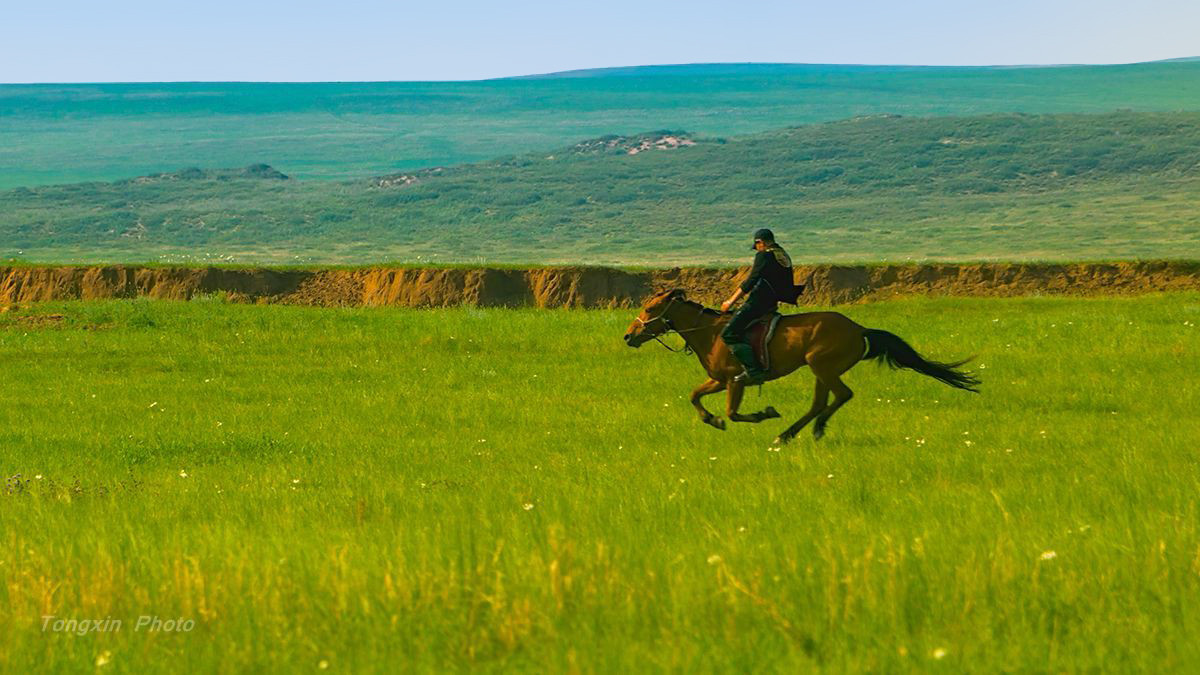 粗旷豪放的大草原感谢贴