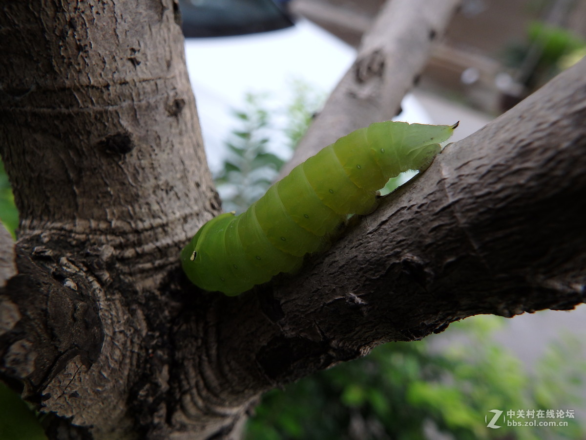 拍的时候掉了一地的鸡皮疙瘩！！