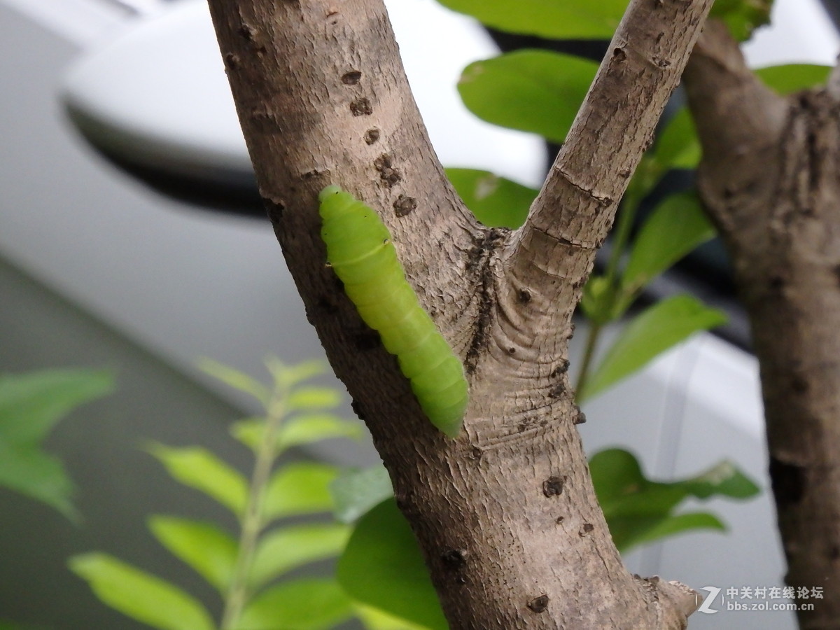 拍的时候掉了一地的鸡皮疙瘩！！