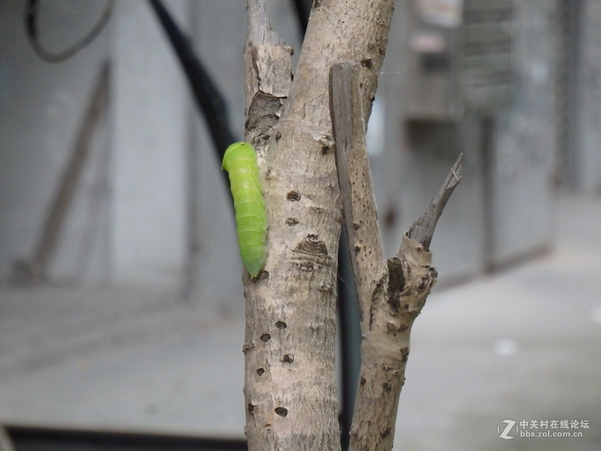 拍的时候掉了一地的鸡皮疙瘩！！