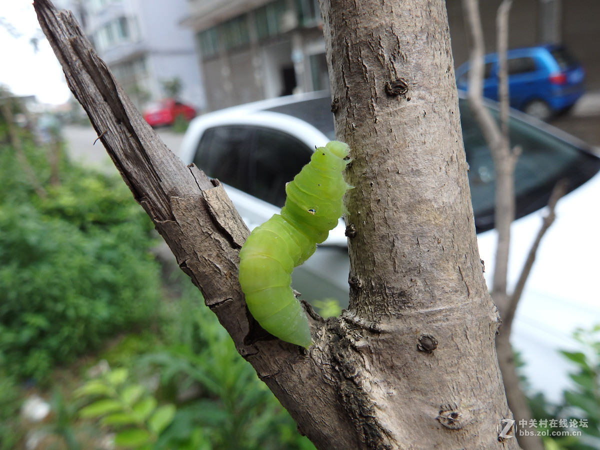 拍的时候掉了一地的鸡皮疙瘩！！