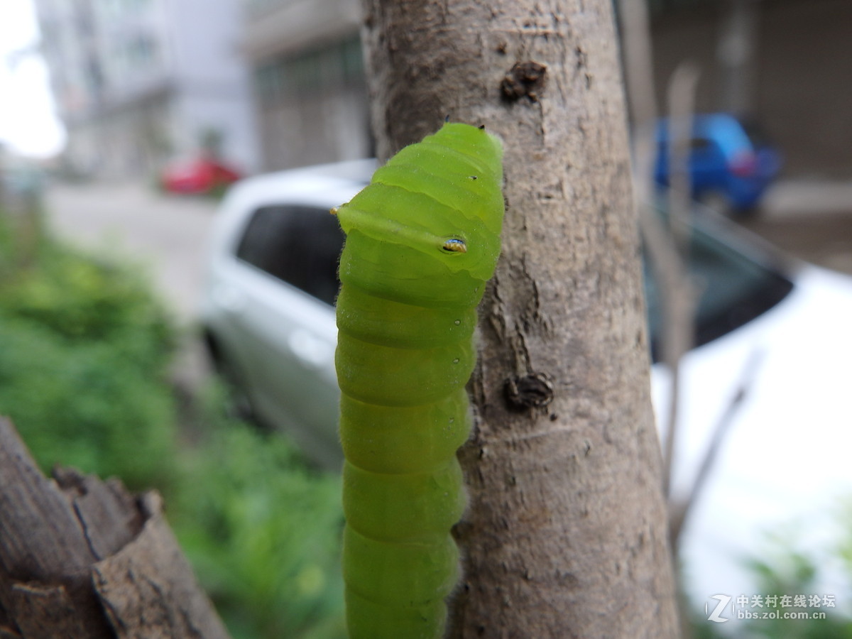 拍的时候掉了一地的鸡皮疙瘩！！