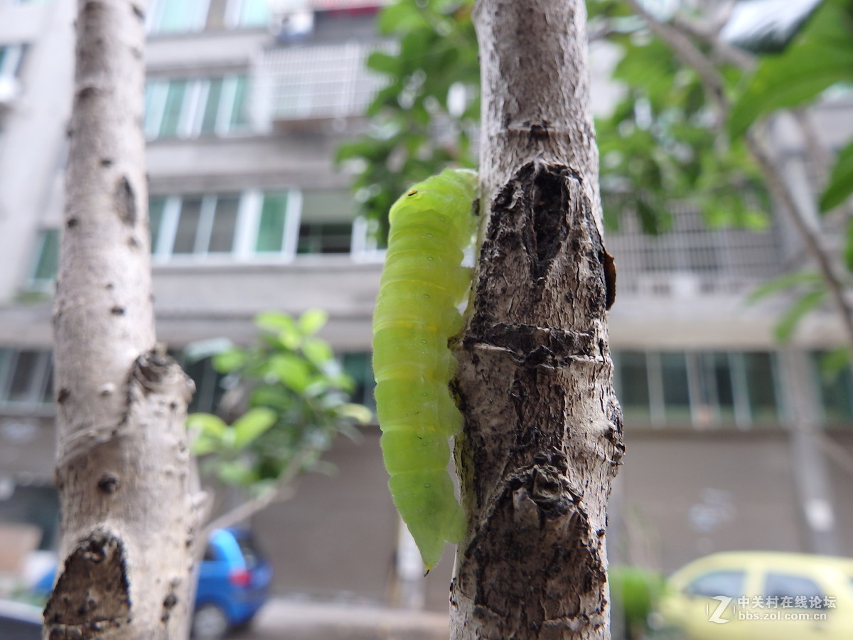 拍的时候掉了一地的鸡皮疙瘩！！