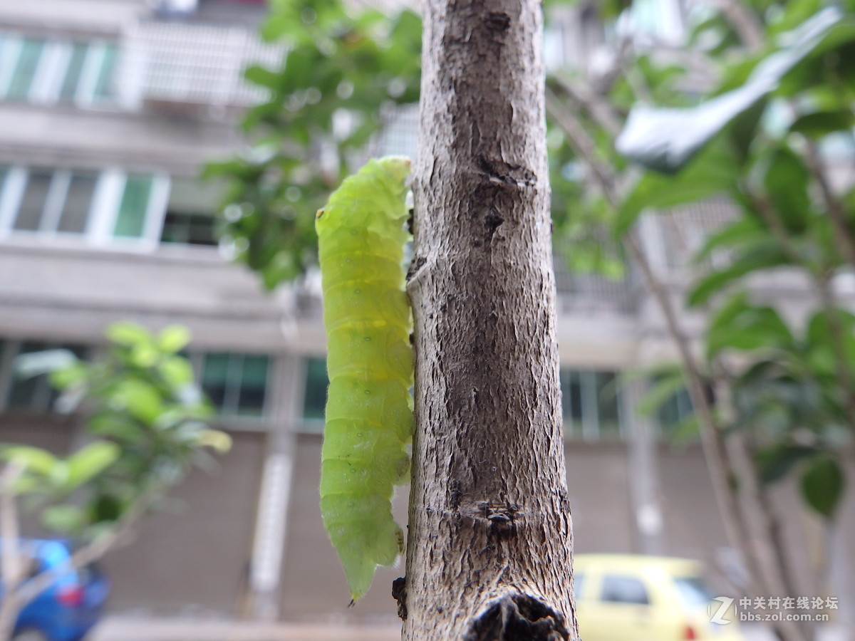 拍的时候掉了一地的鸡皮疙瘩！！
