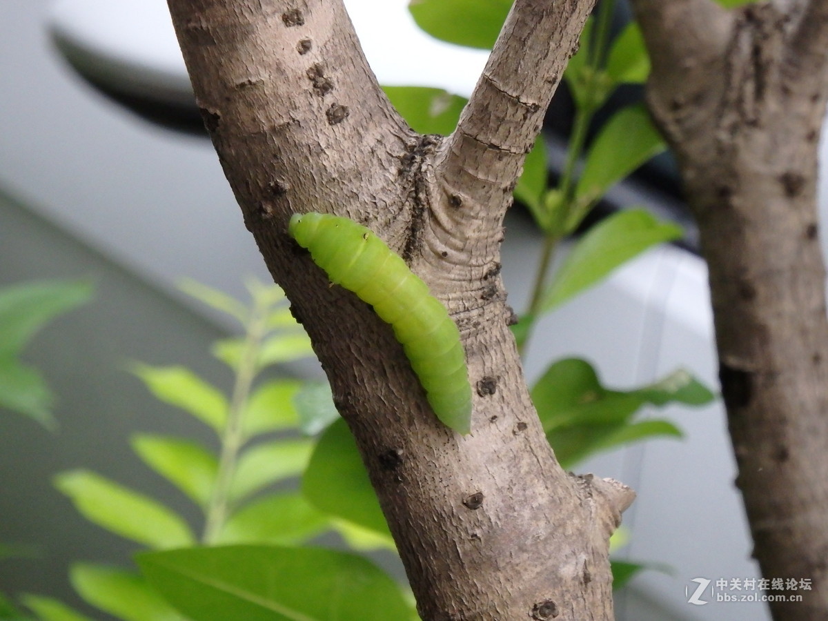 拍的时候掉了一地的鸡皮疙瘩！！