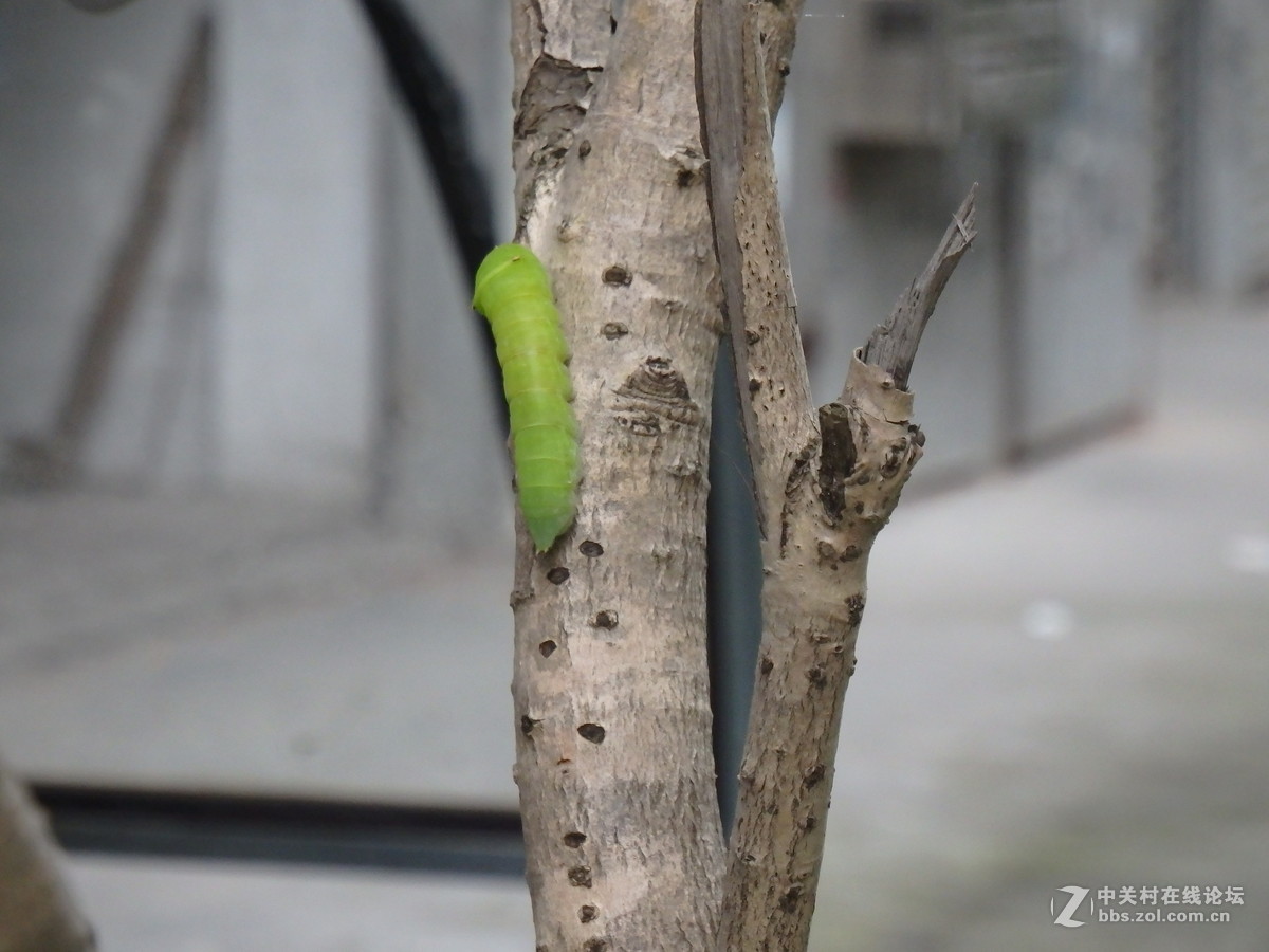 拍的时候掉了一地的鸡皮疙瘩！！