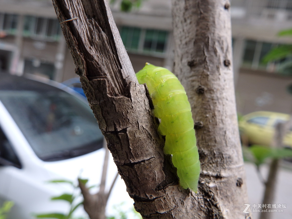 拍的时候掉了一地的鸡皮疙瘩！！