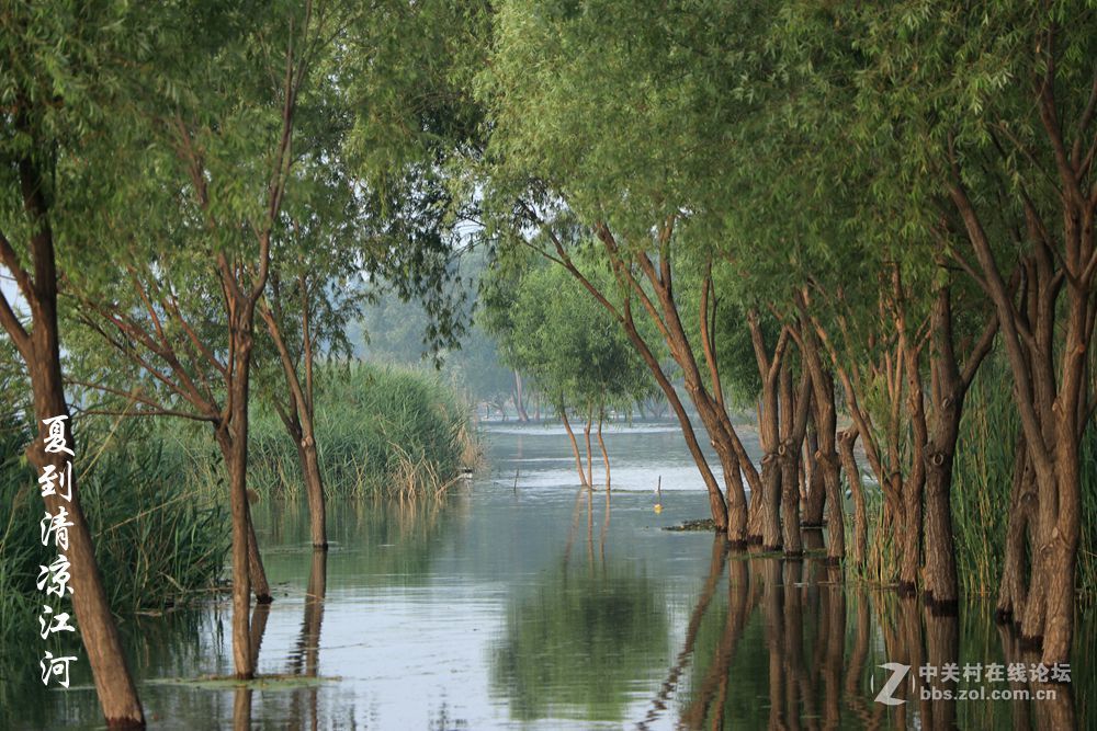 夏到清凉江河