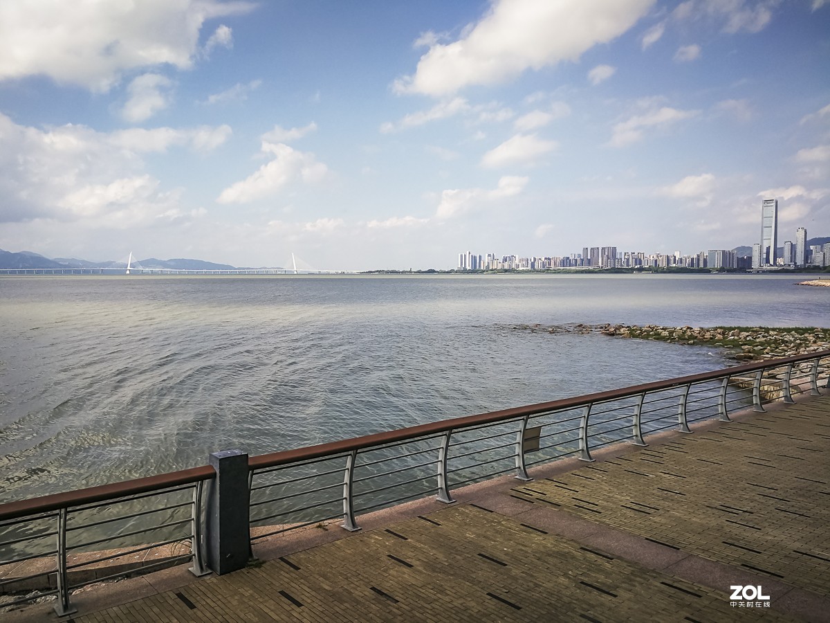 深圳湾红树林公园 ~ 掠影