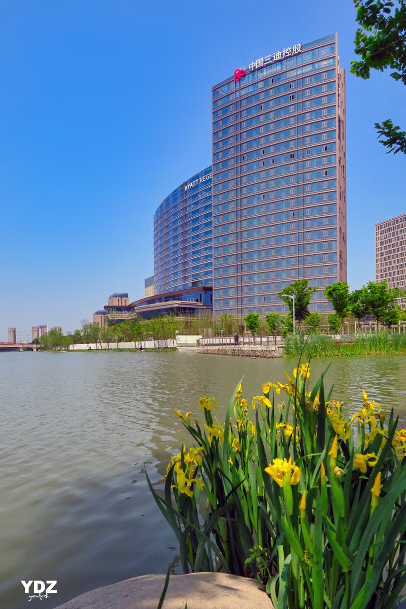 上海松江五龙湖公园2