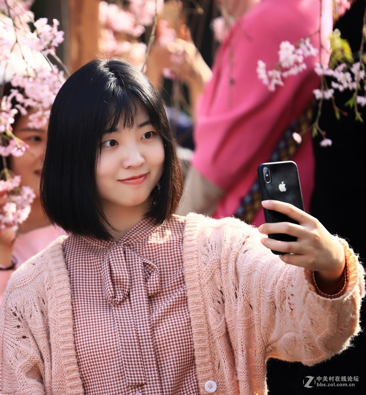 西安青龙寺赏樱 花美人更美