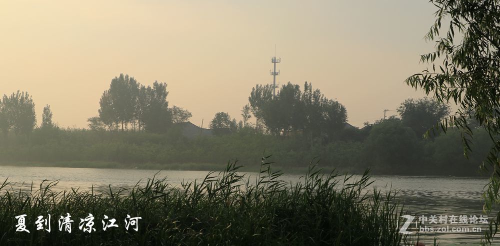 夏到清凉江河