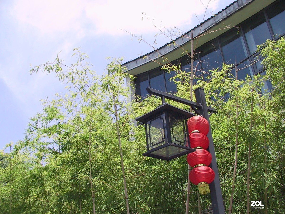 老机新拍2001年产的老机还能用