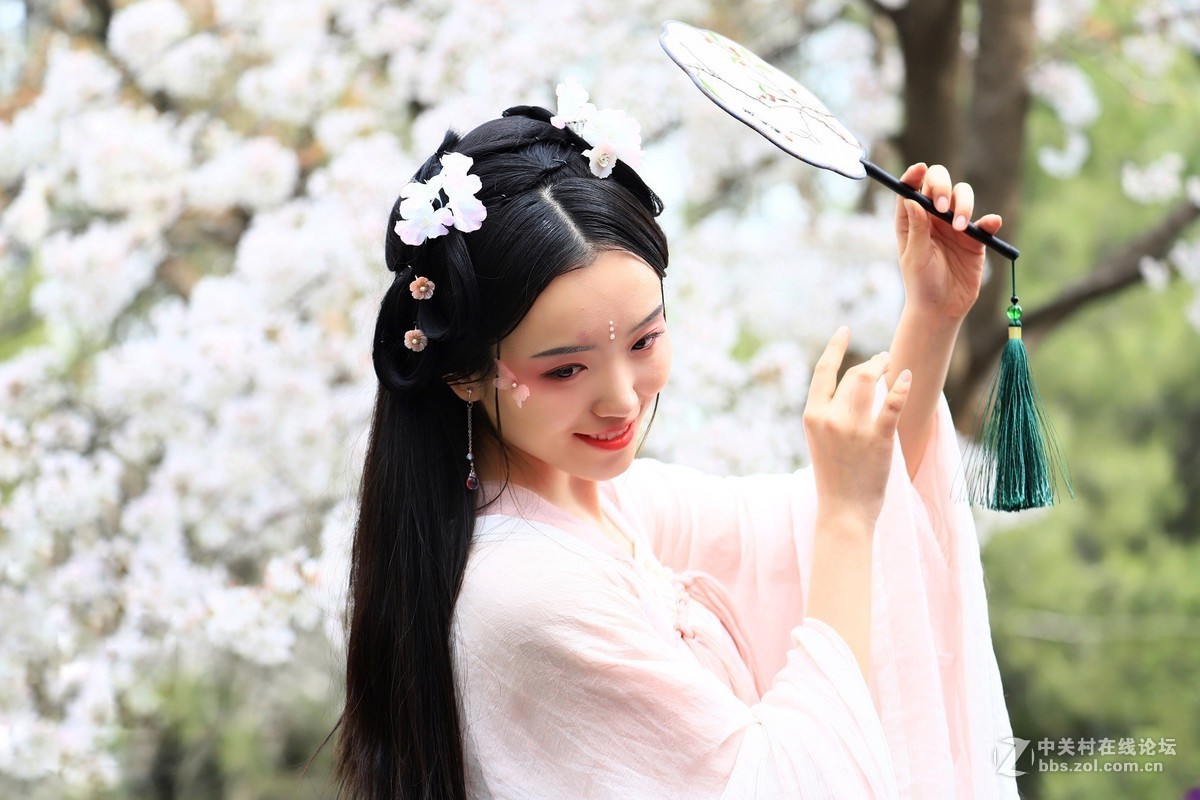 西安青龙寺赏樱 花美人更美