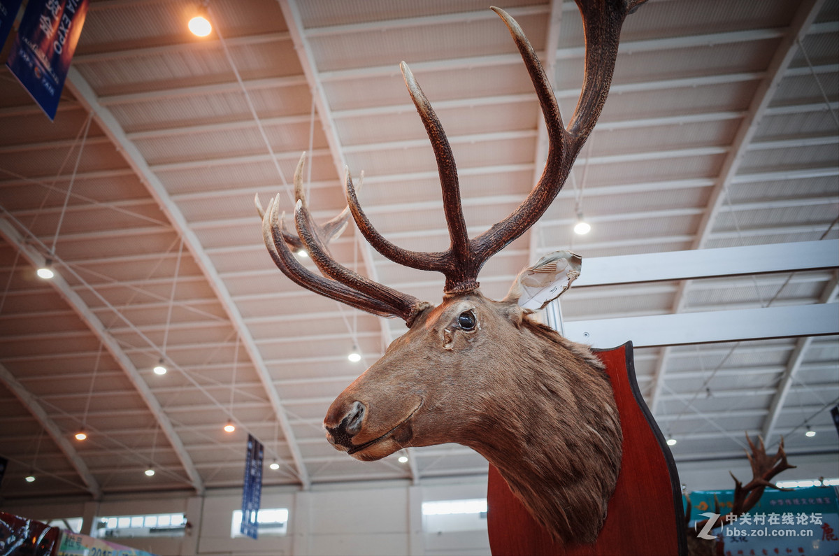 逛会展中心~随拍