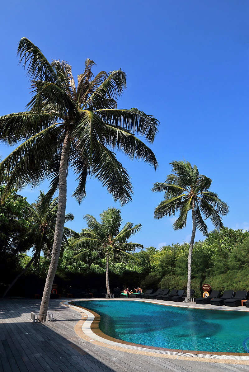 马尔代夫之酷拉都岛水疗度假村 (Kuredu Island Resort and Spa) （十）
