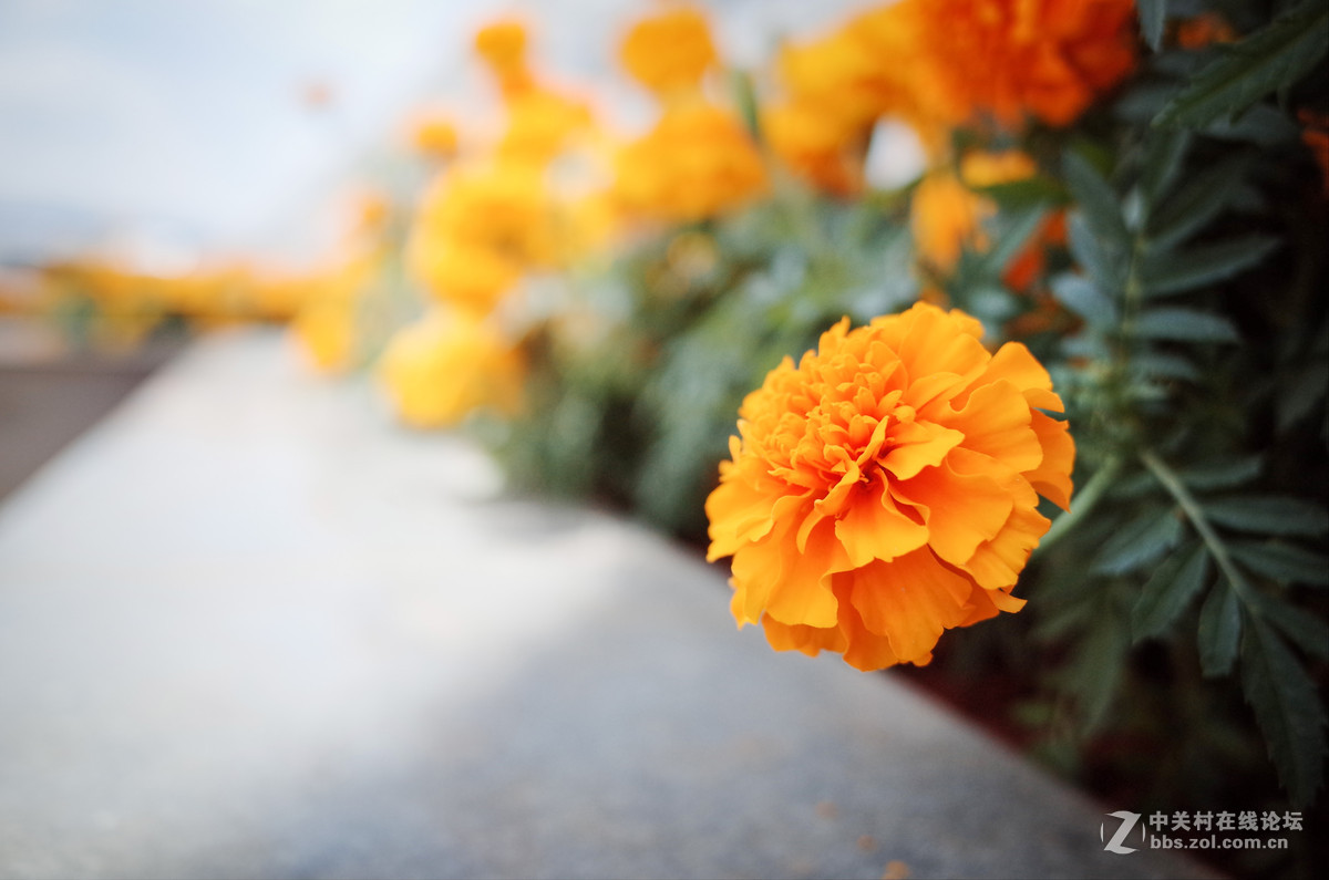 逛会展中心~随拍