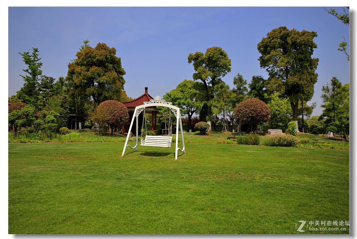 奉贤海湾园随拍2