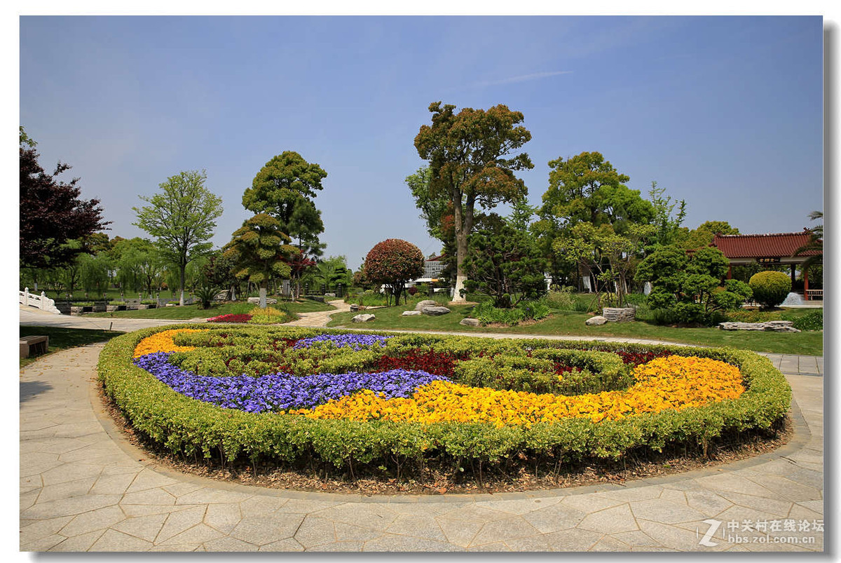 奉贤海湾园随拍2