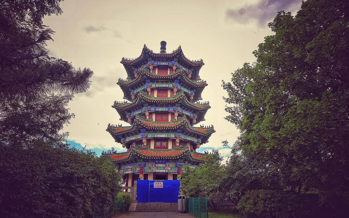 《乱》指的是片的内容各不同，不系统，看着什么能出理想的片就拍什么。哈哈！