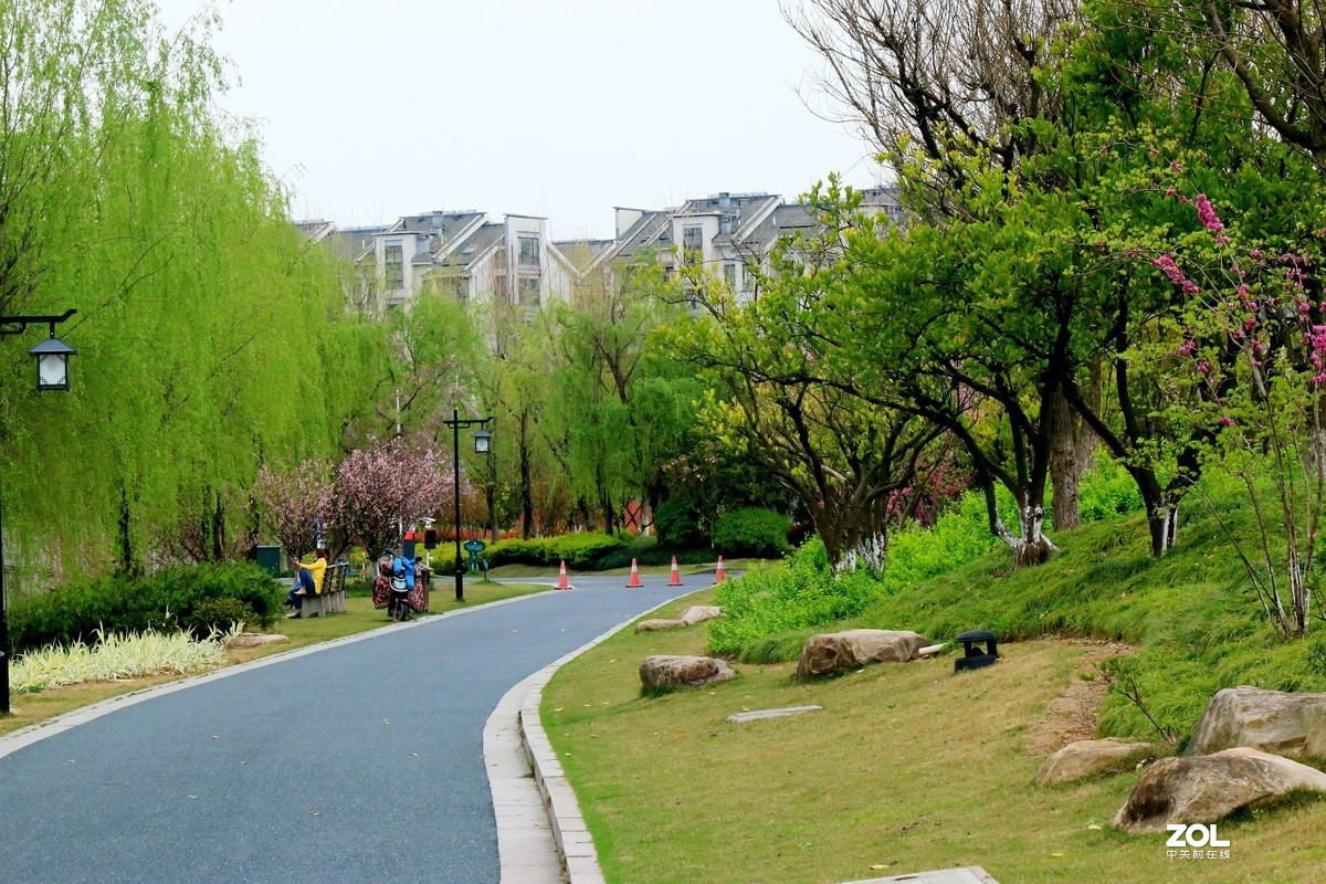 杂拍-草长莺飞湘湖翠