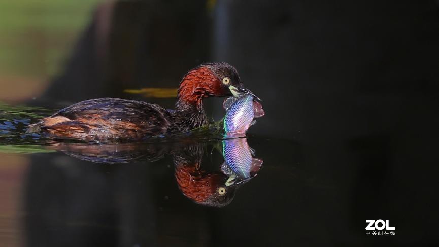 教你如何发挥出极致的创作力 摄影师安妮谈佳能生态旗舰机