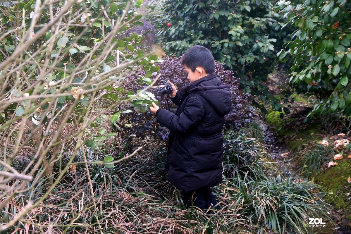 杂拍-草长莺飞湘湖翠