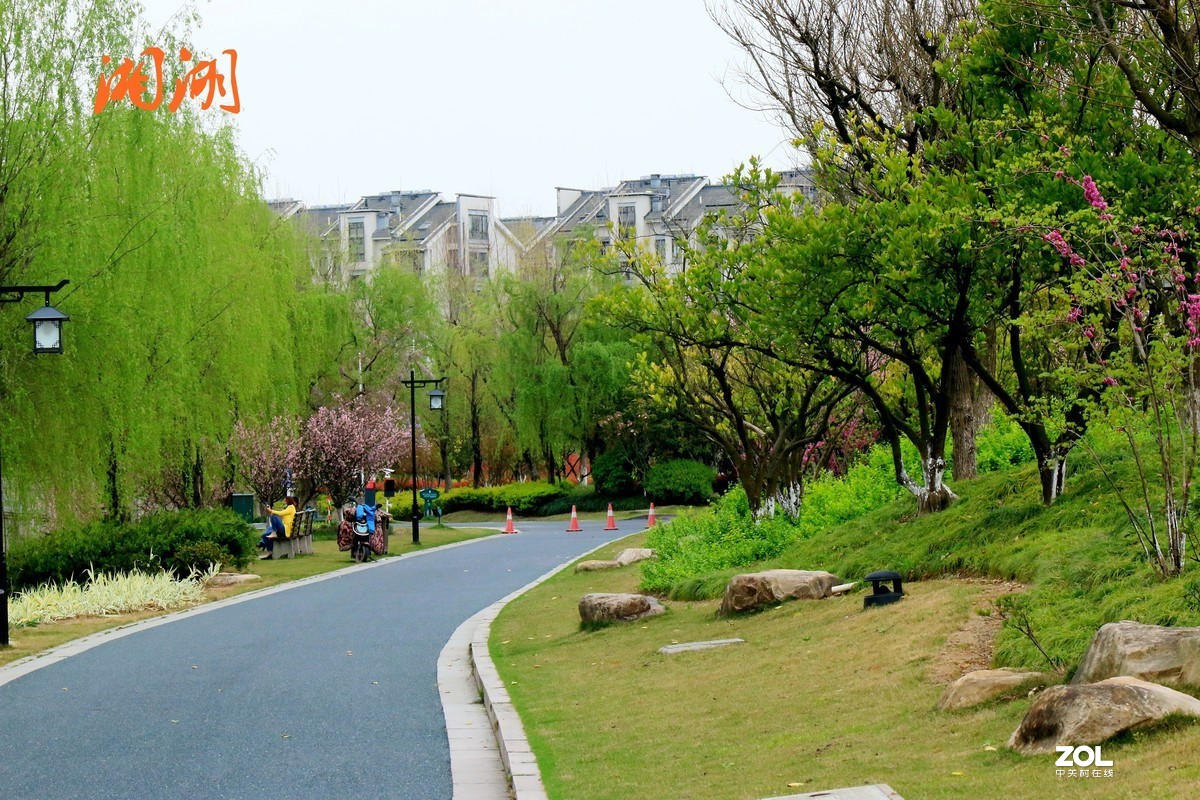 杂拍-草长莺飞湘湖翠