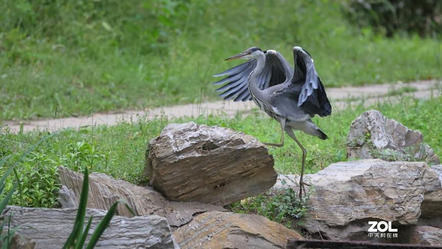 教你如何发挥出极致的创作力 摄影师安妮谈佳能生态旗舰机