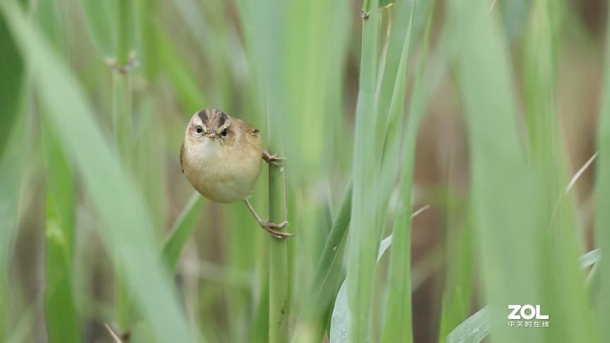 教你如何发挥出极致的创作力 摄影师安妮谈佳能生态旗舰机