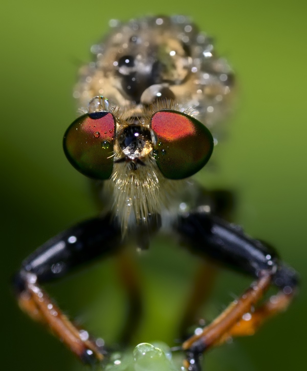 《D610星空(中国)2015年7月精华精选上榜作品展示》
