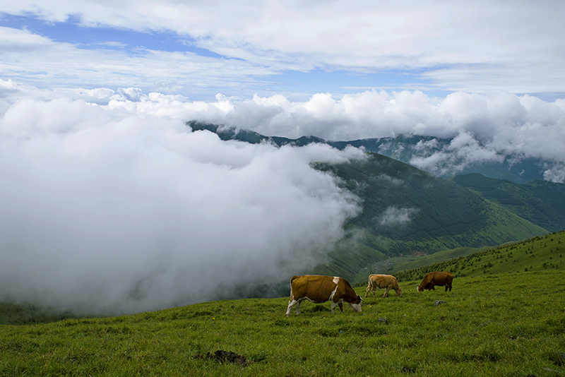 《D610星空(中国)2015年7月精华精选上榜作品展示》