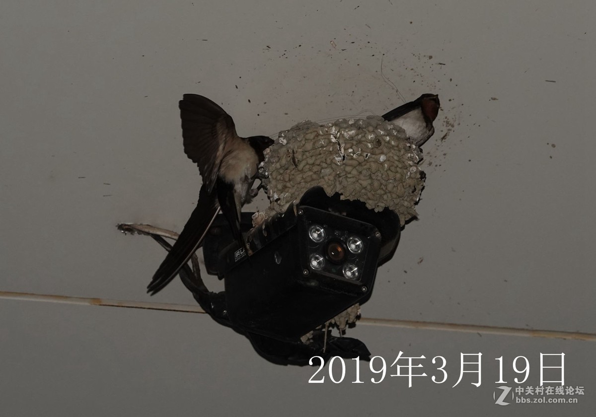 燕窝新装修