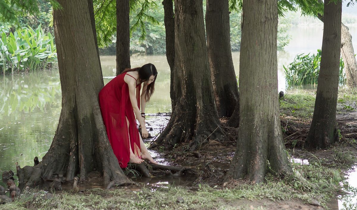 为湿地添彩（一组蹭拍照）