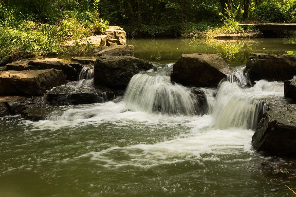 为湿地添彩（一组蹭拍照）