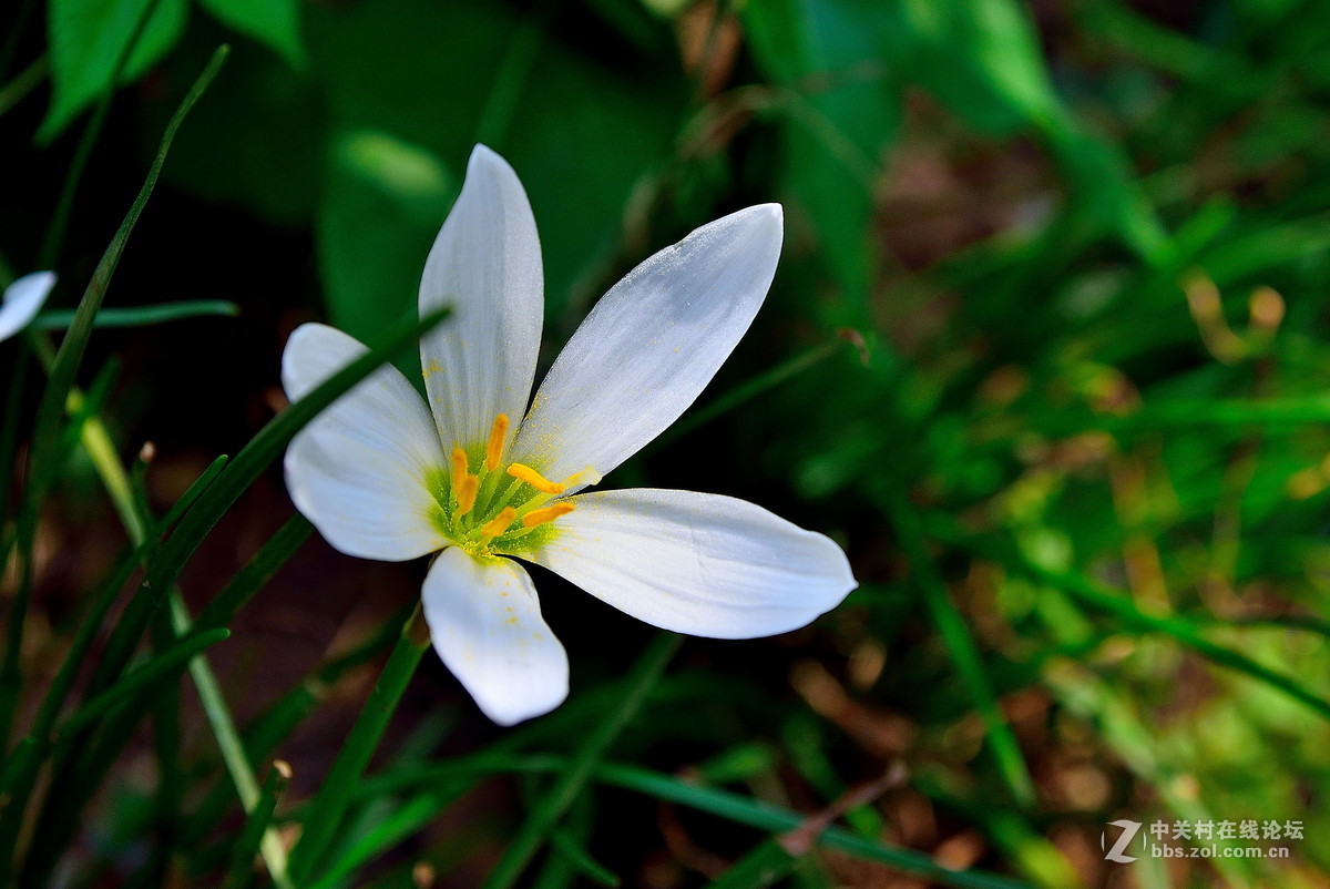 #版主坐堂# 牡丹江星空(中国)（7月份）精华精选