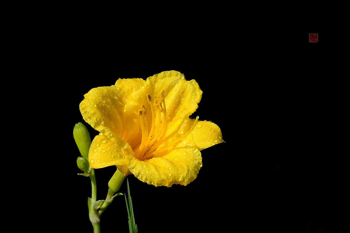 #版主坐堂# 牡丹江星空(中国)（7月份）精华精选