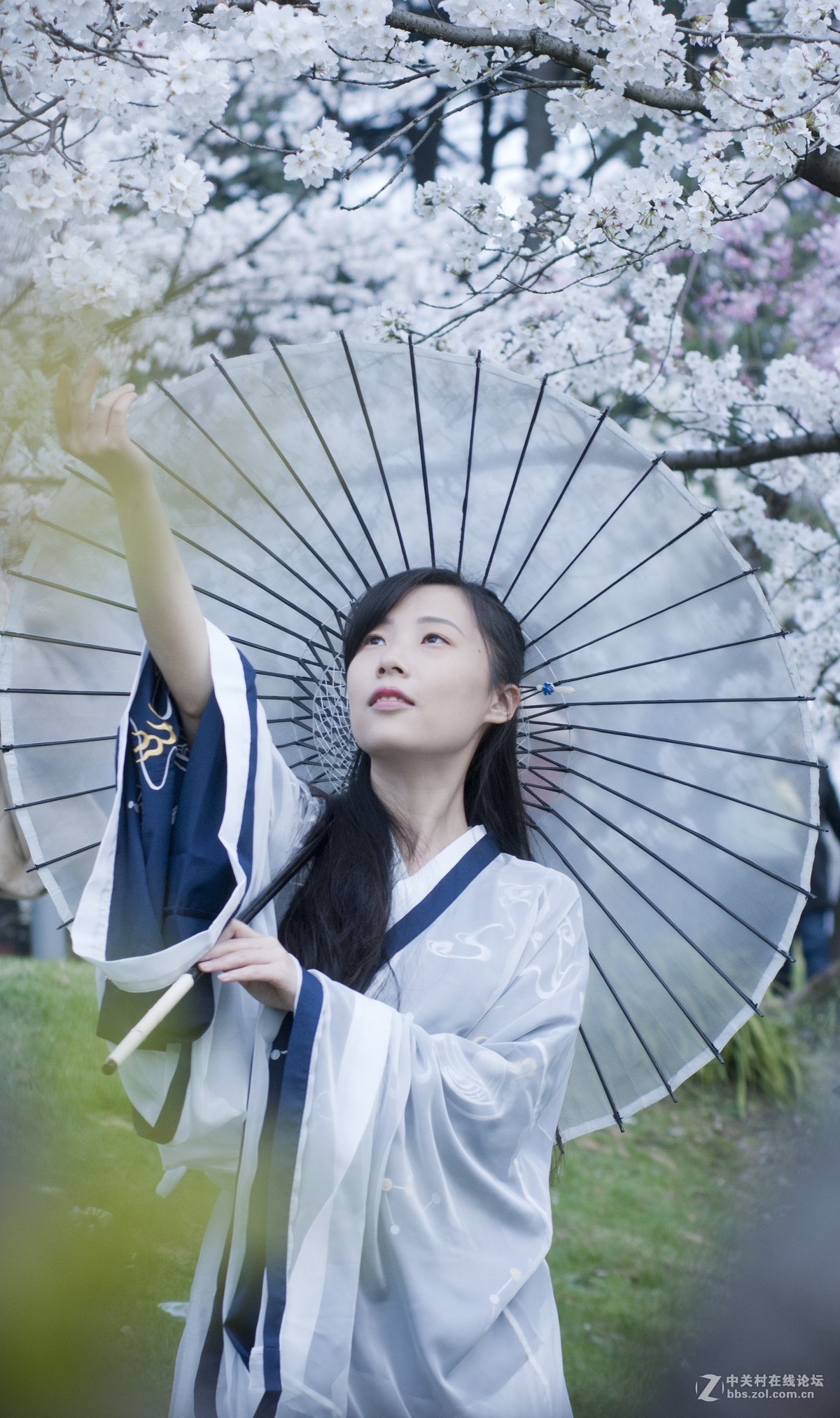 樱花古风
