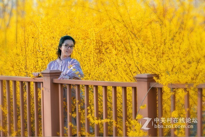 花海美女