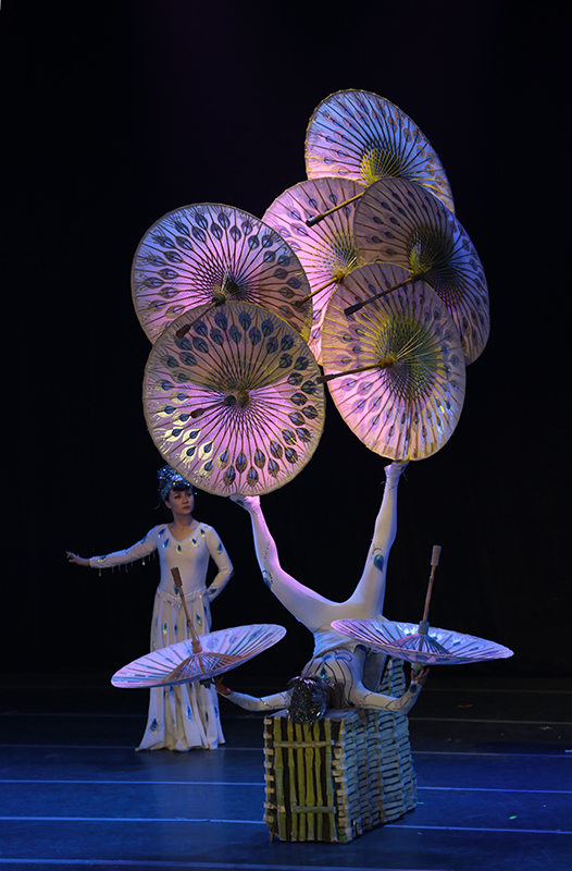 理工大学文化节-大连杂技团【胡桃夹子】1