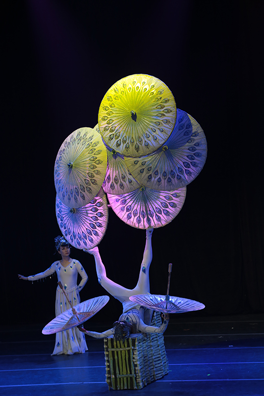 理工大学文化节-大连杂技团【胡桃夹子】1