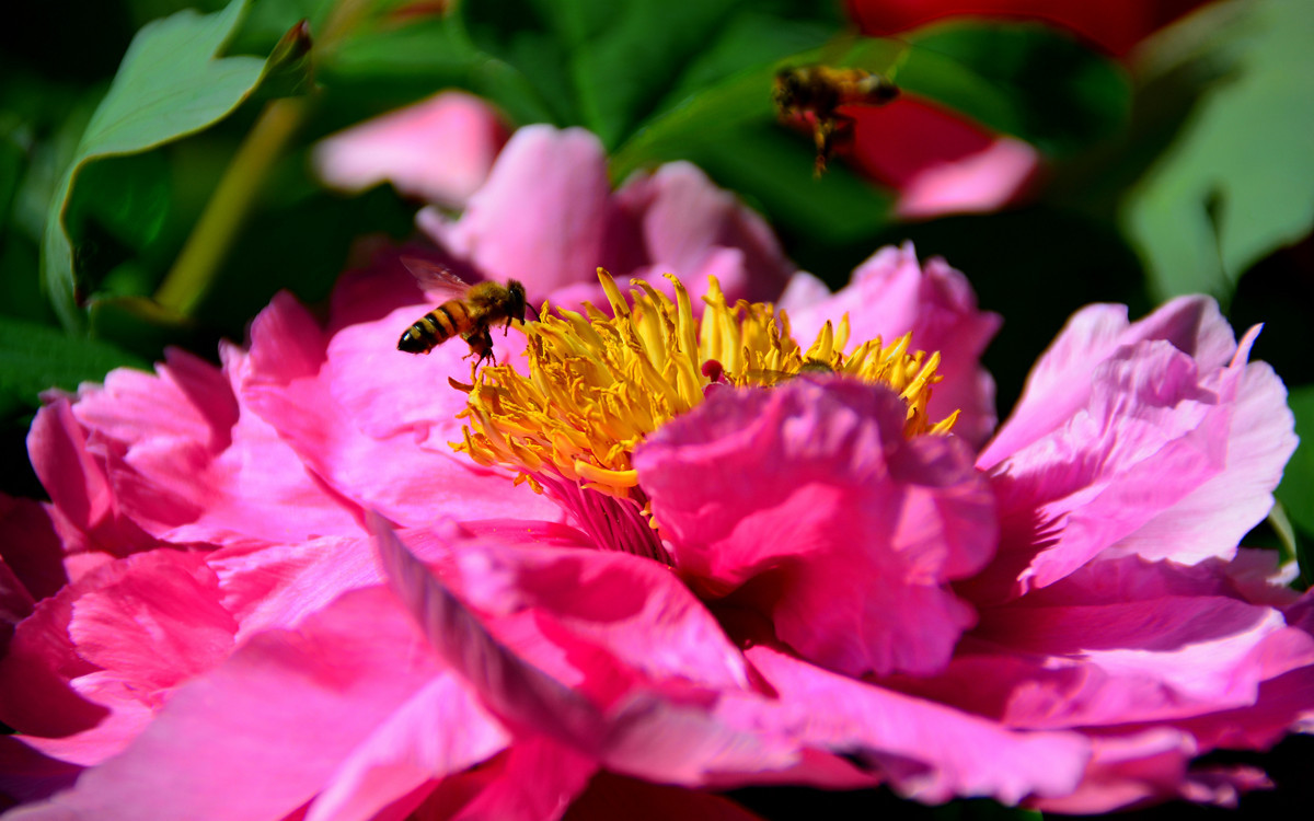 恭祝各位好友端午节快乐如意！
